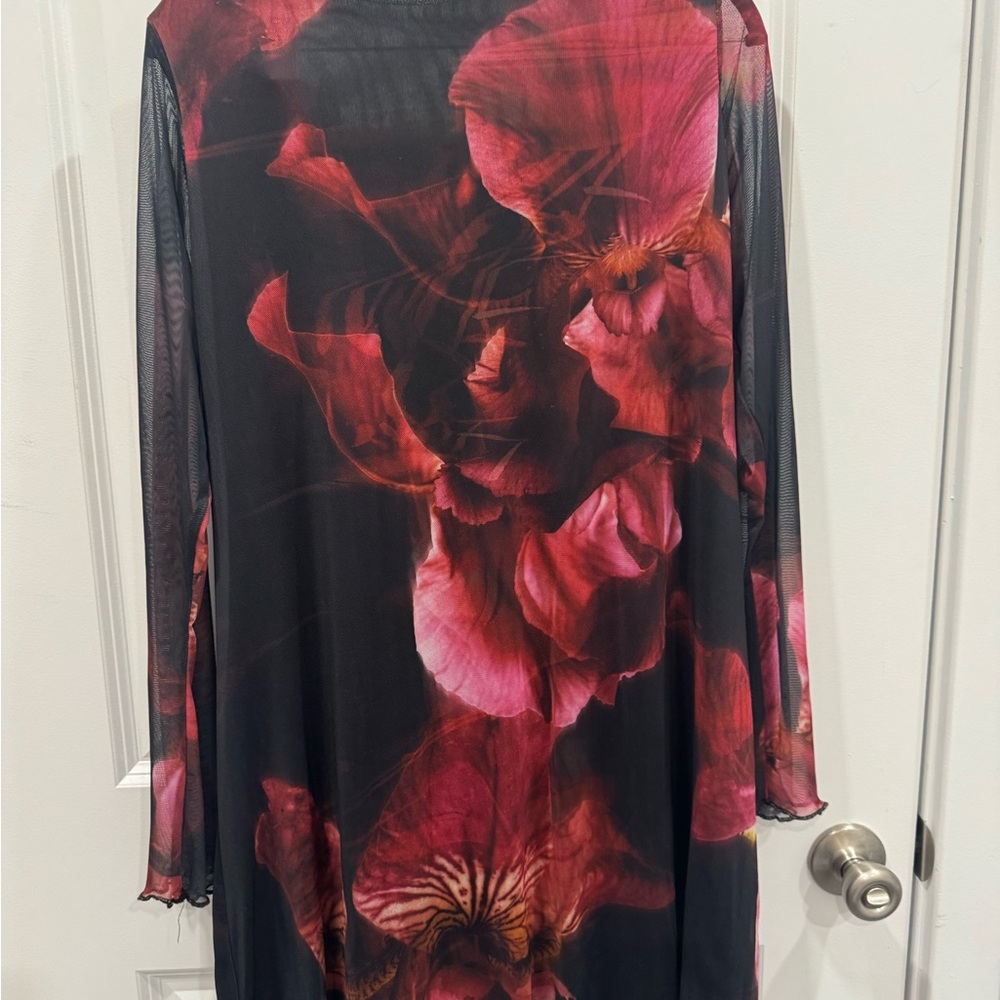 Boohoo Sheer Black Mesh Dress with Red Floral Print